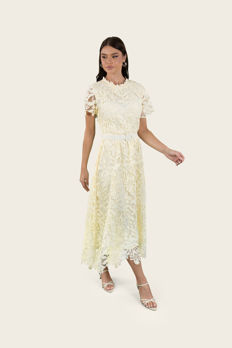Floral Lace Belted Midi Dress